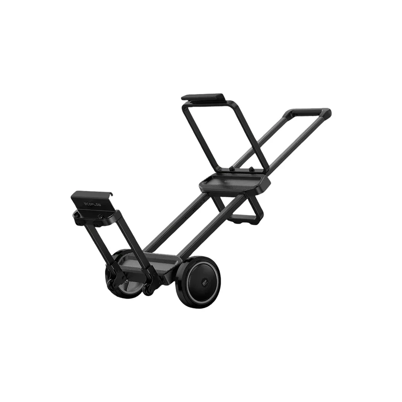 dogger1625167