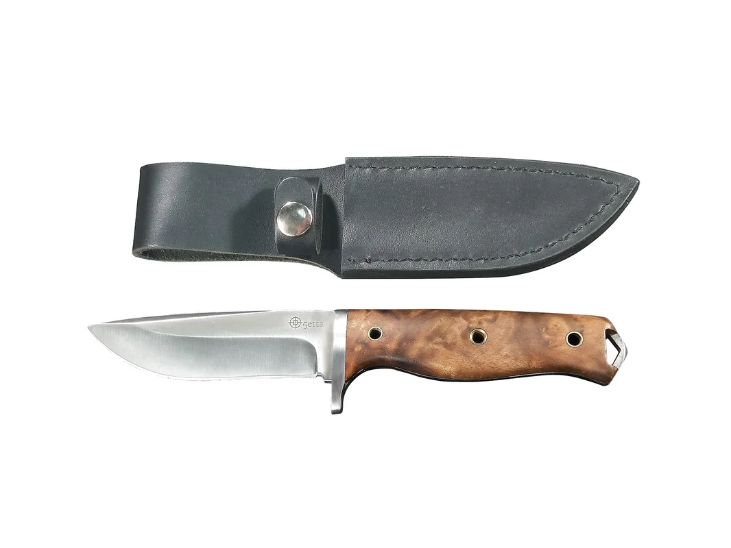 dogger1631529
