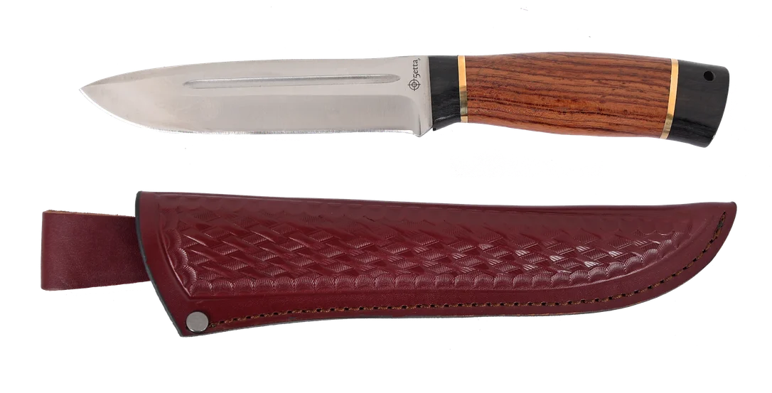 dogger1631559