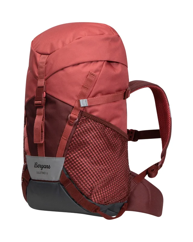 dogger1646004