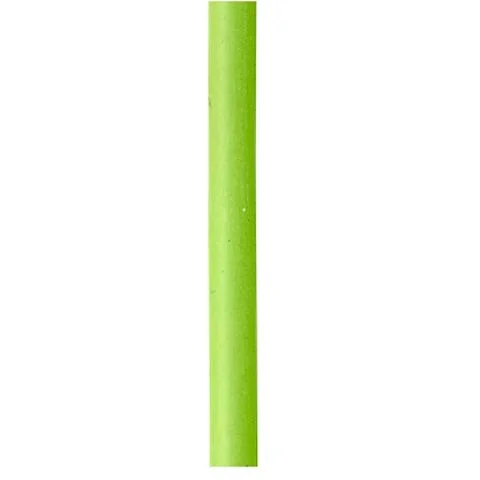 dogger1651168