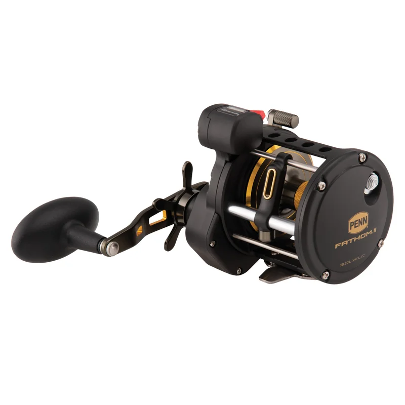 dogger1669008