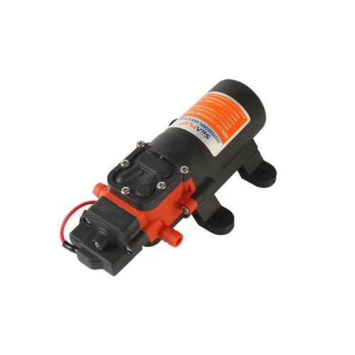 dogger1696854