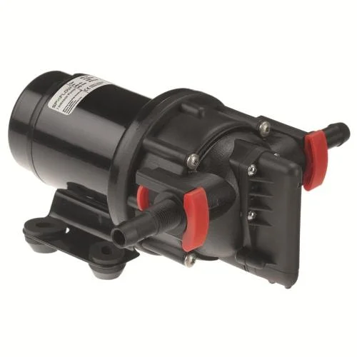 dogger1696860