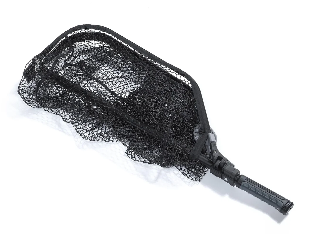 dogger1804382