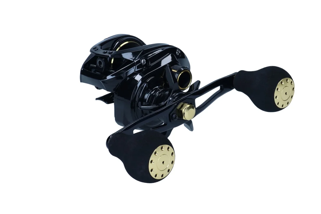 dogger1817904