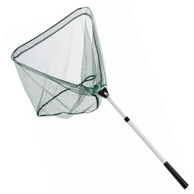 fiska1694340