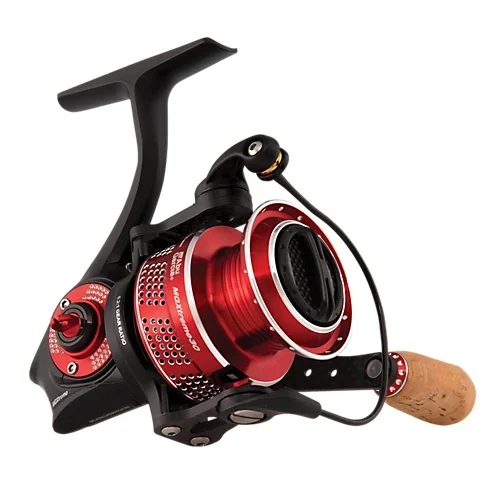 jiggar1668300