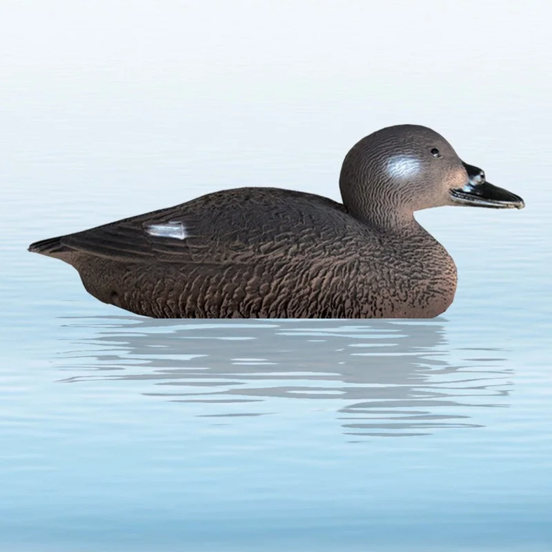 lundgrensfiske1714077