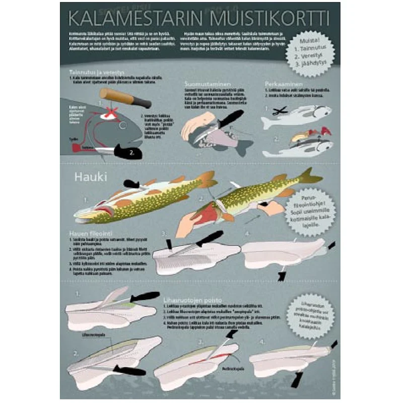 sportfiskaren1682646