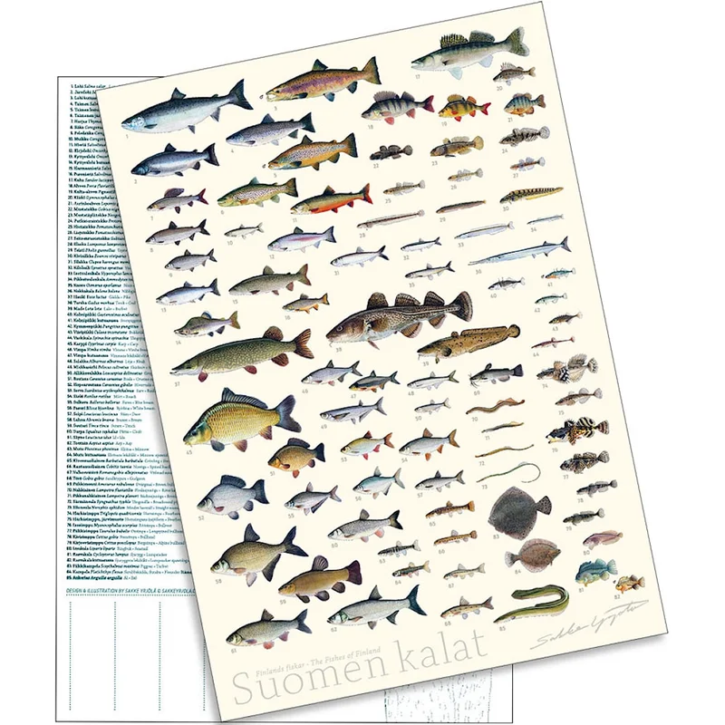 sportfiskaren1682664