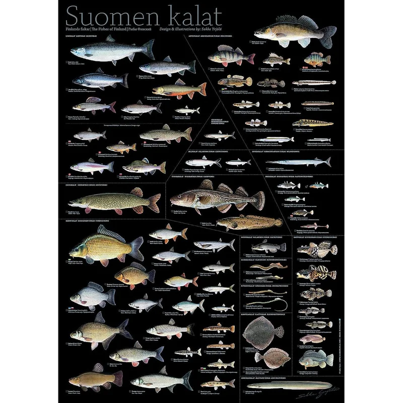 sportfiskaren1682667