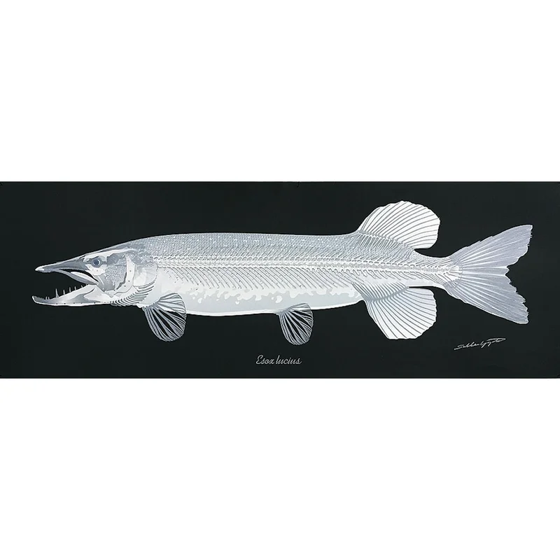sportfiskaren1731397