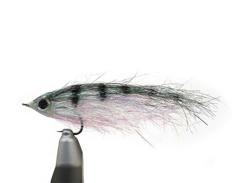 willyssportfiske1625655