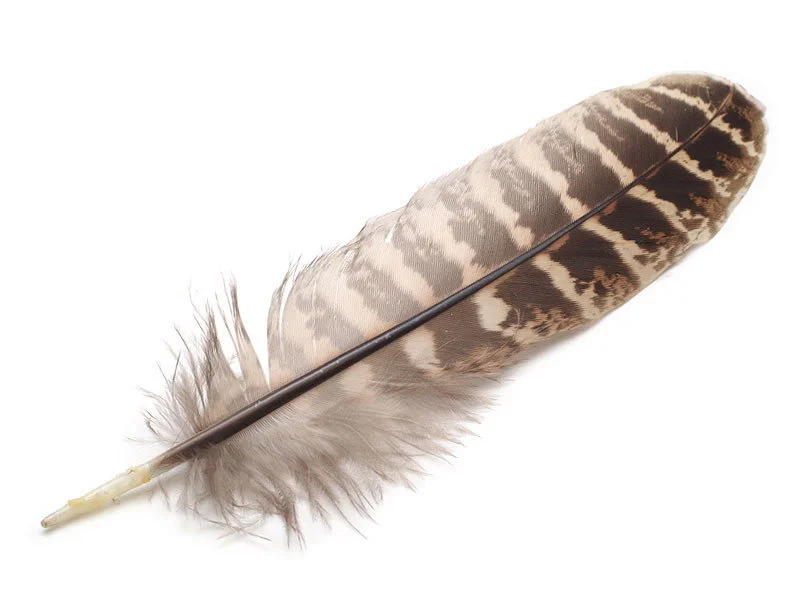 willyssportfiske1627601