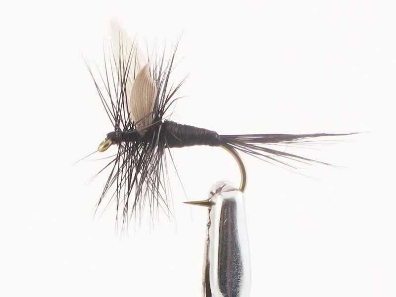 willyssportfiske1633144