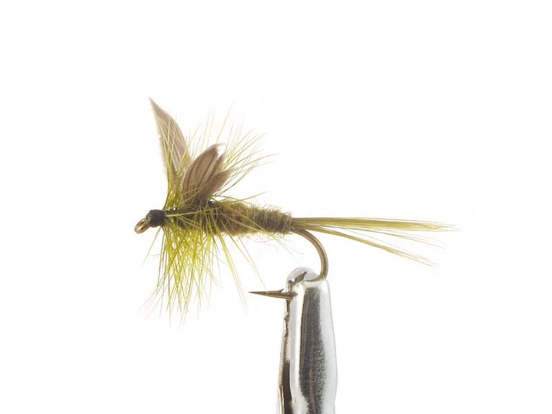 willyssportfiske1633169