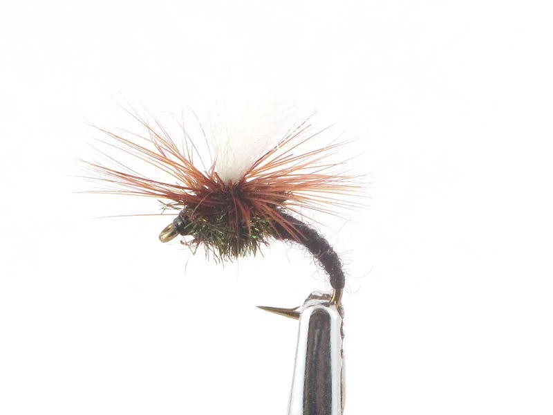 willyssportfiske1633195