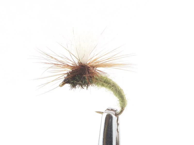 willyssportfiske1633215
