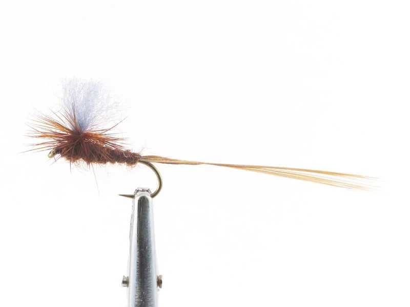 willyssportfiske1633258