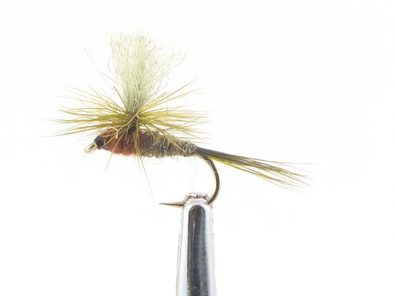 willyssportfiske1633263