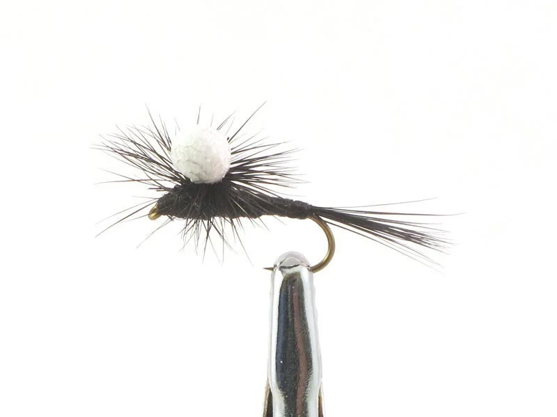 willyssportfiske1633270