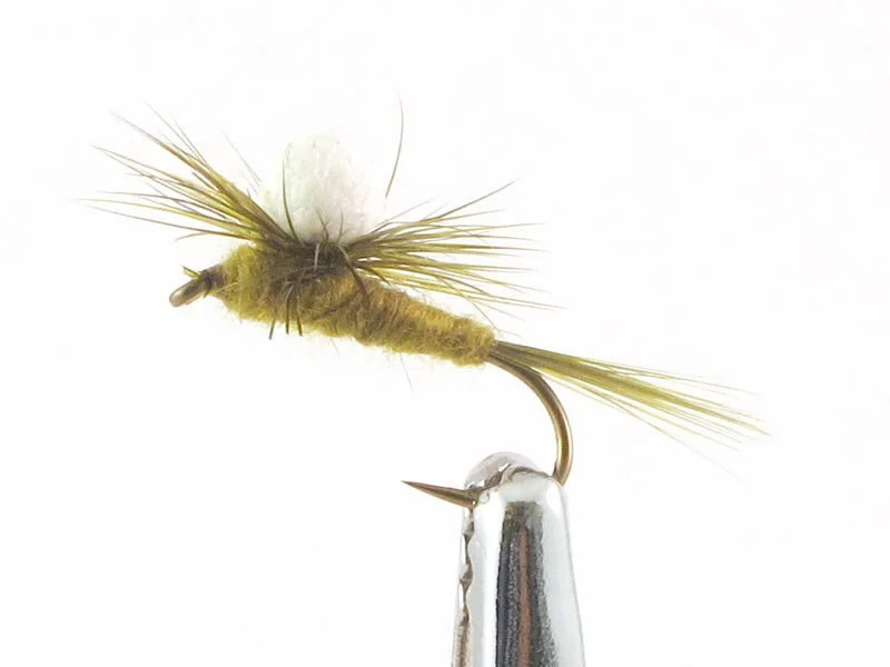 willyssportfiske1633285