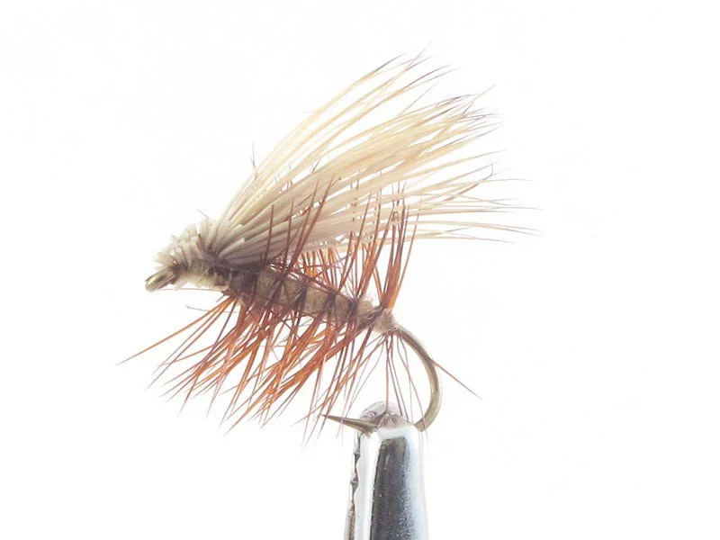 willyssportfiske1633305