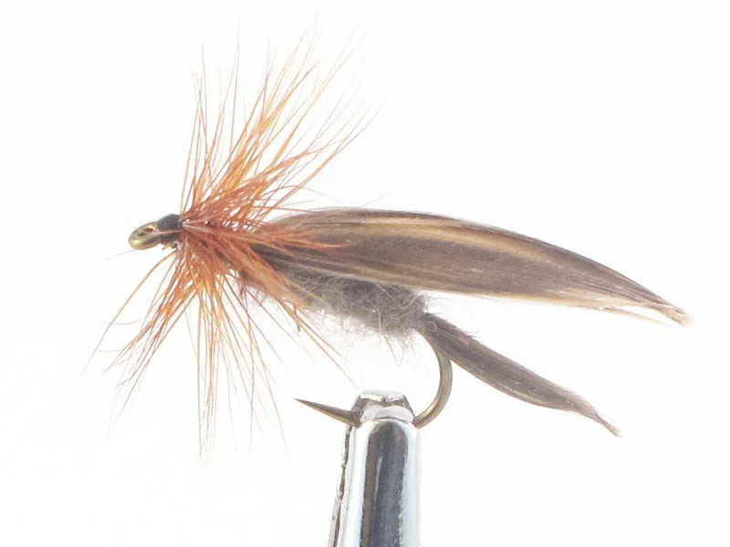 willyssportfiske1633312