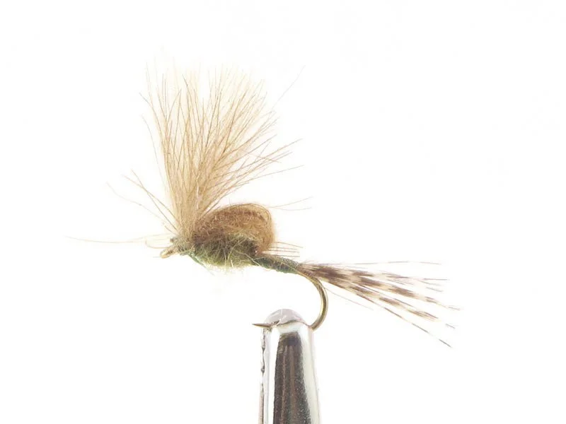 willyssportfiske1633455