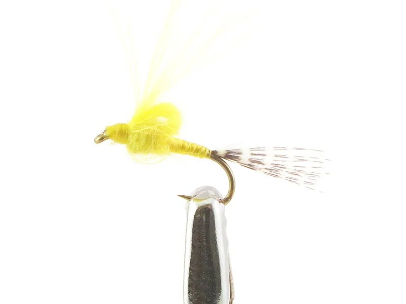 willyssportfiske1633468