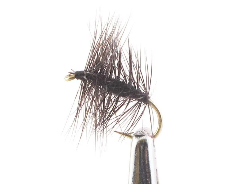 willyssportfiske1633479