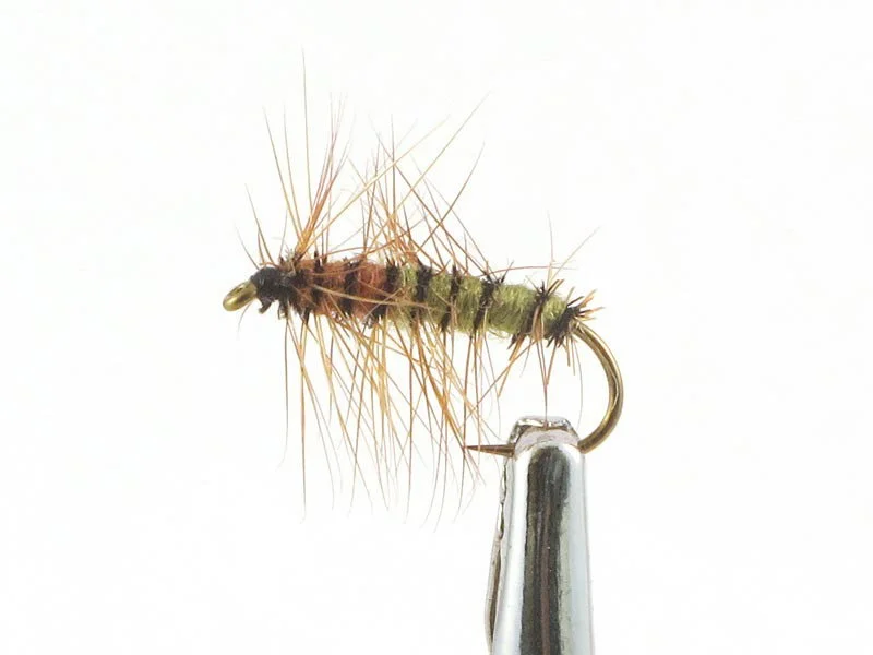 willyssportfiske1633539