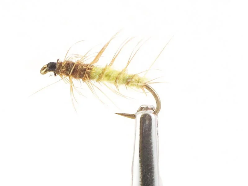 willyssportfiske1633551