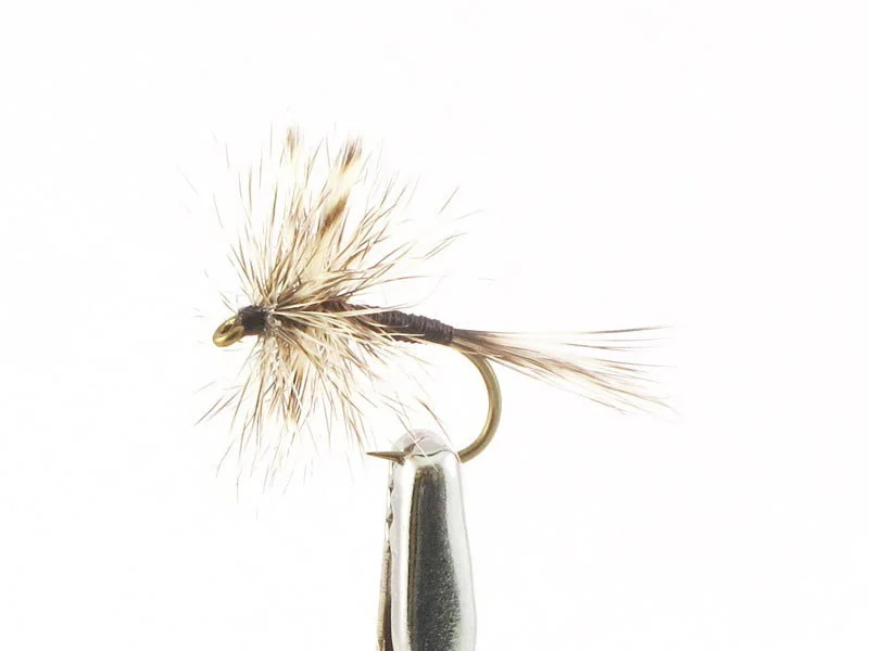 willyssportfiske1633633