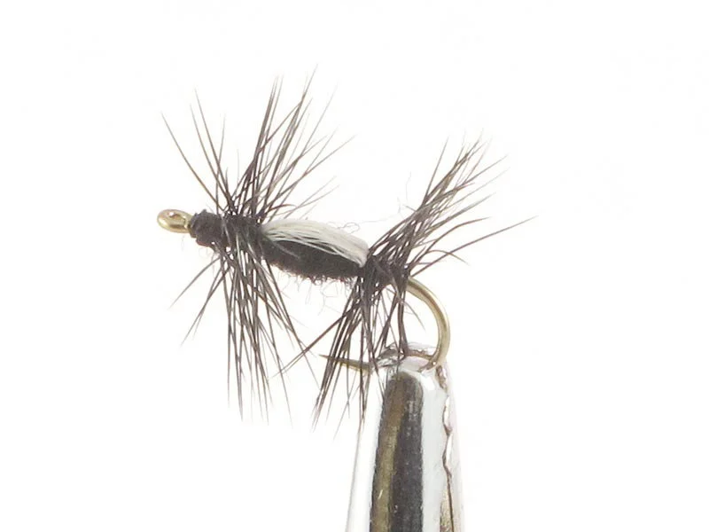 willyssportfiske1633651