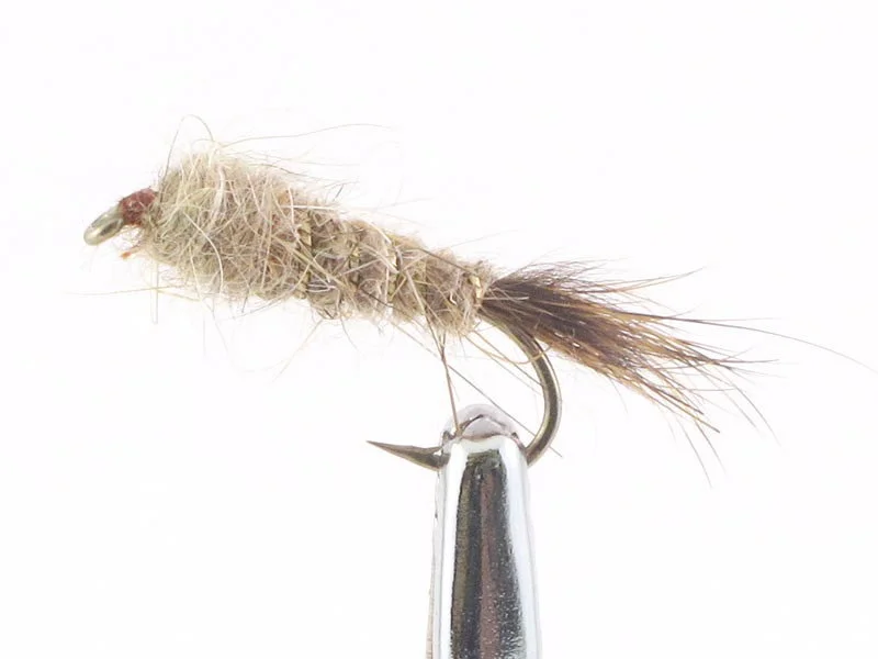 willyssportfiske1633686