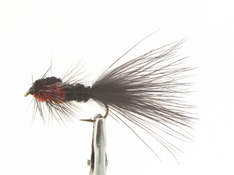 willyssportfiske1633806