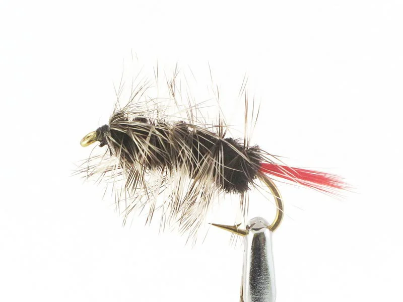 willyssportfiske1633815