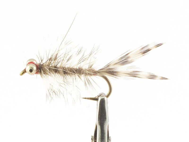 willyssportfiske1634004