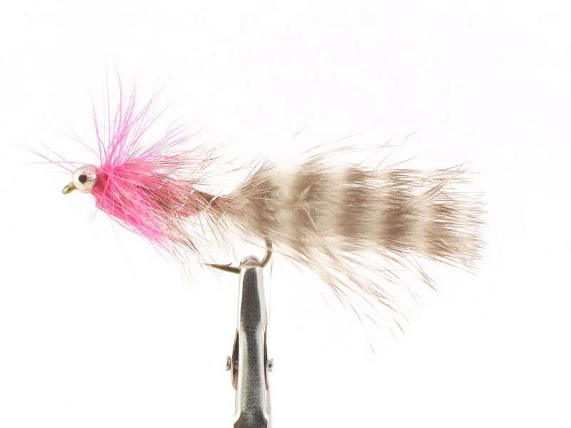 willyssportfiske1634012