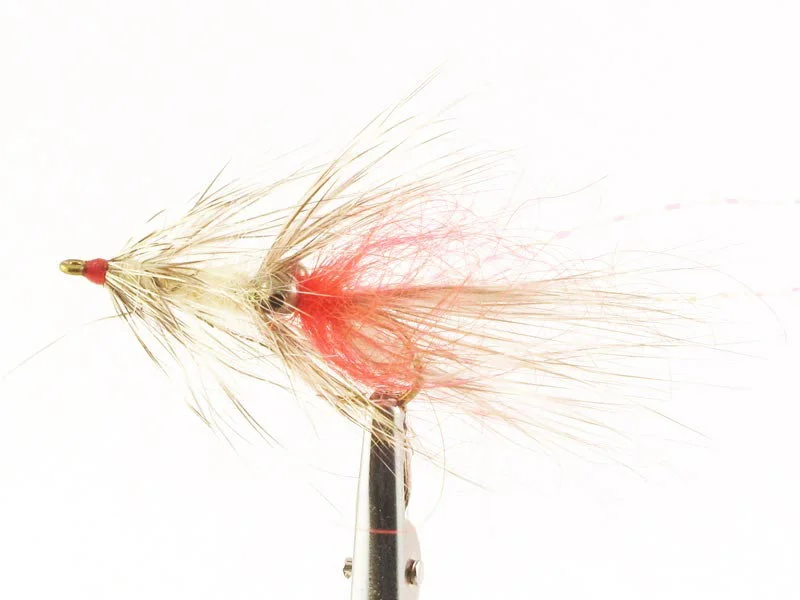 willyssportfiske1634021