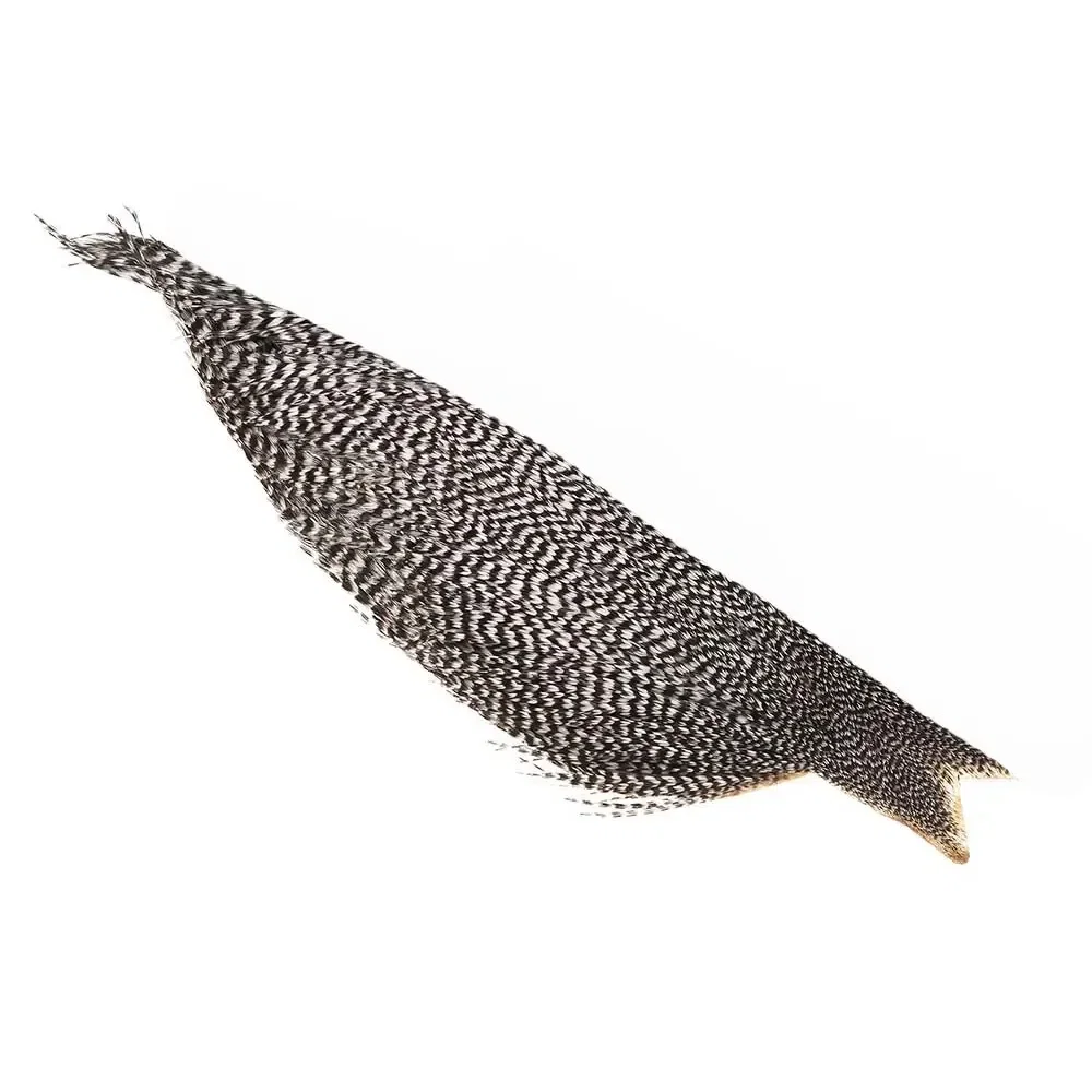 willyssportfiske1640450