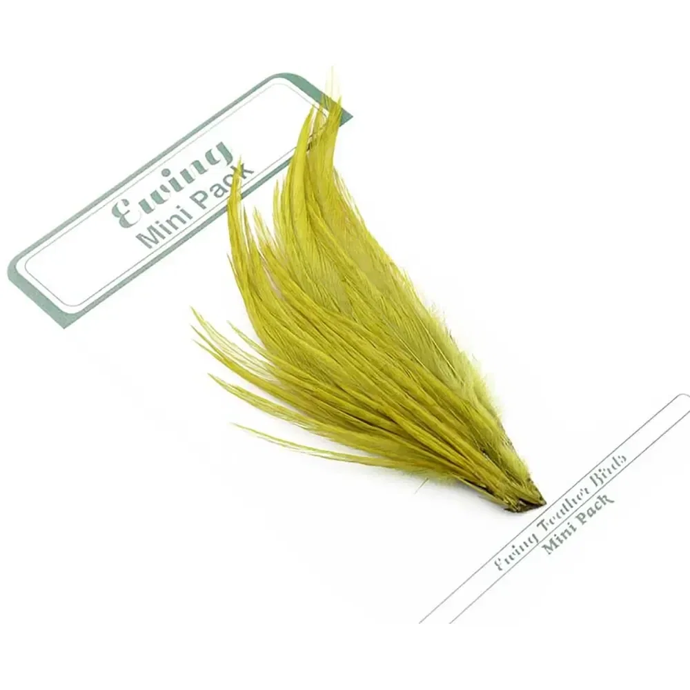 willyssportfiske1644744
