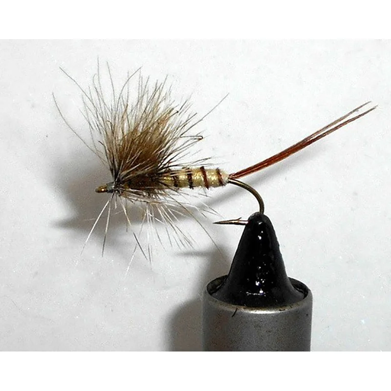 willyssportfiske1657251