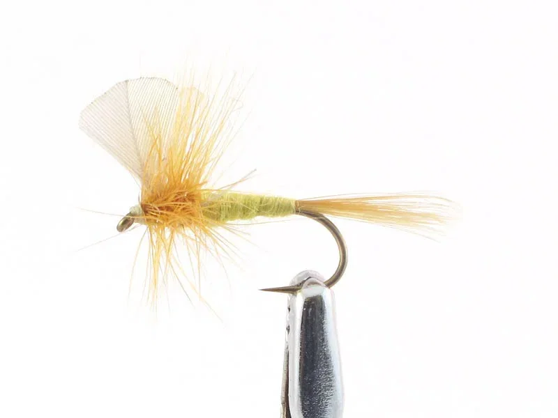 willyssportfiske1658232