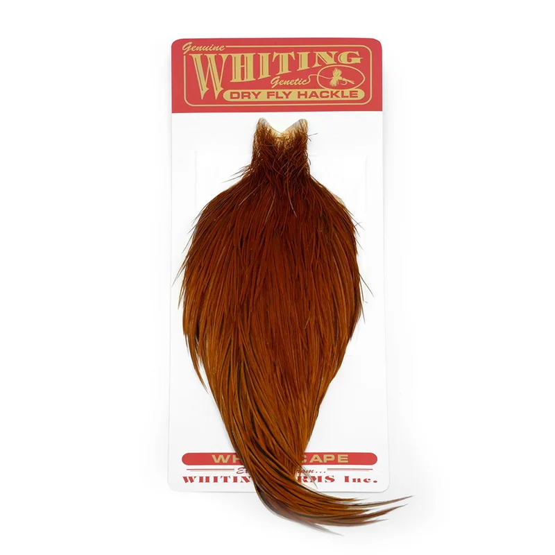 willyssportfiske1660295