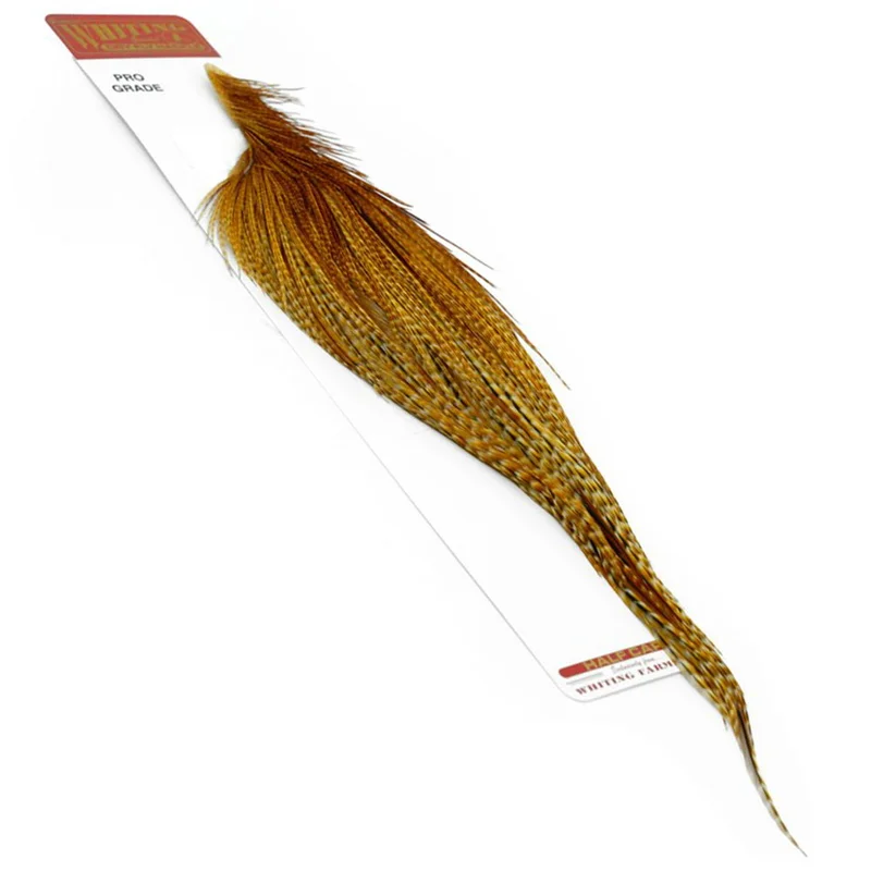 willyssportfiske1668124