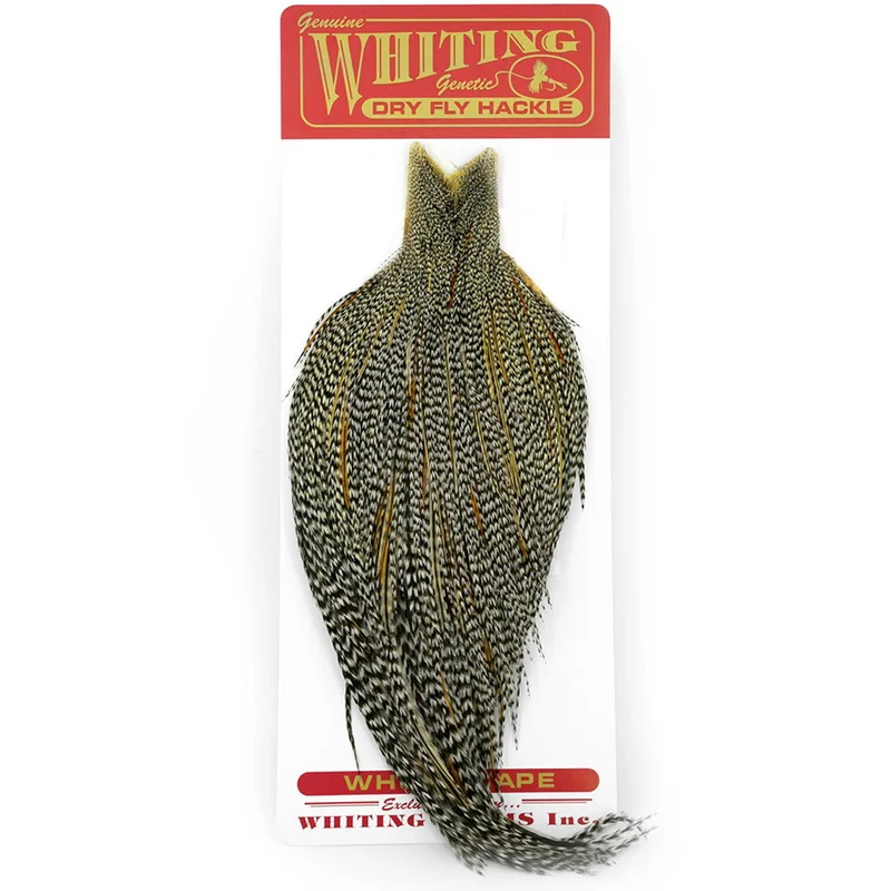 willyssportfiske1668166
