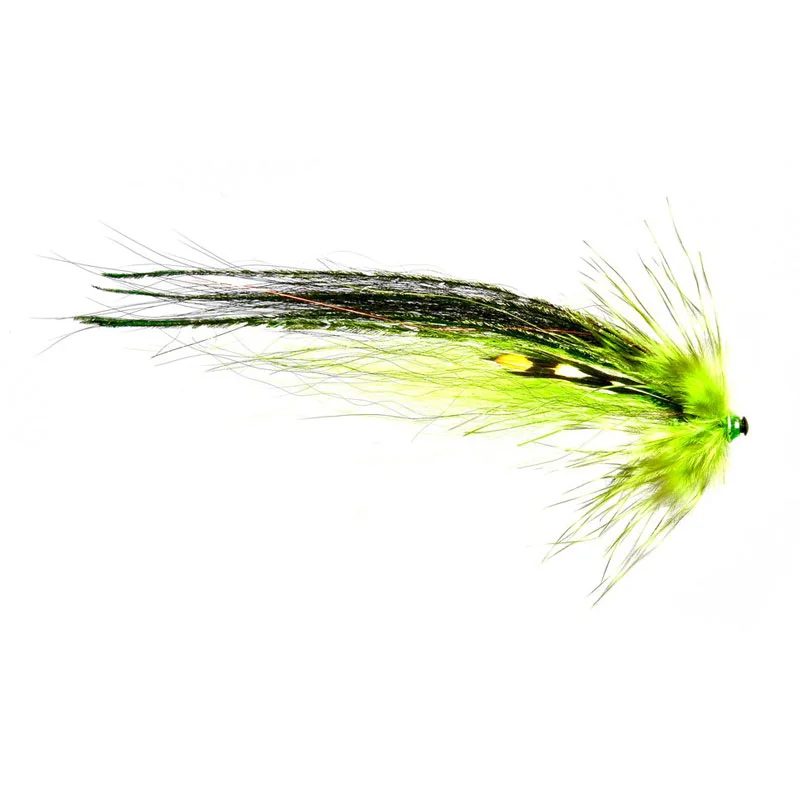 wollmars1638821